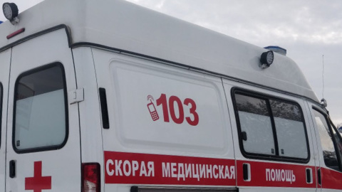 В ХМАО женщину растерзали бродячие собаки