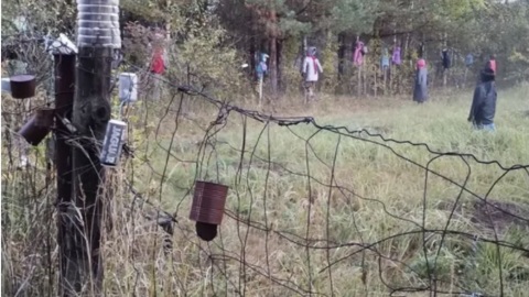 Нижегородские грибники набрели на ужасающую поляну