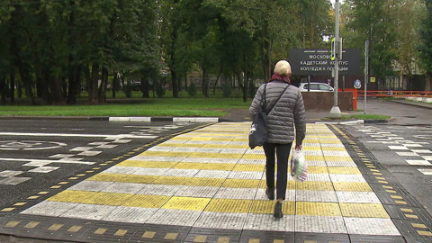 Новые "лежачие полицейские": мнения водителей и пешеходов
