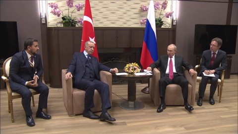 Путин и Эрдоган отметили вклад "Турецкого потока" в энергобезопасность ЕС
