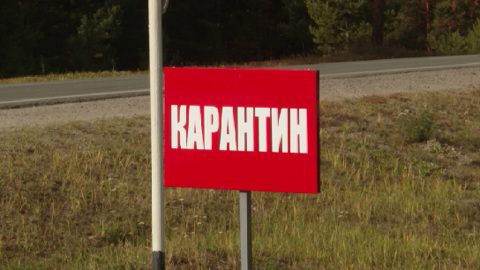 На Урале обнаружена свалка мертвых животных