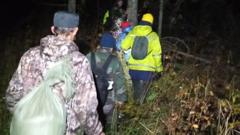 В Тверской области бобры спасли трех человек