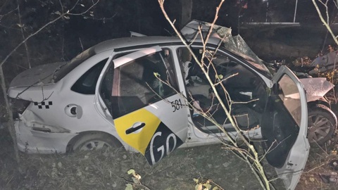 В Тамбове водитель такси погиб, врезавшись в дерево