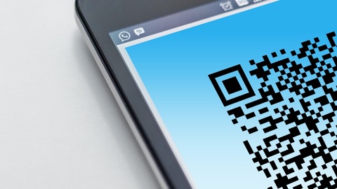 Внедрение системы QR-кодов в Вологодской области отложили