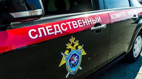 В Ярославской области задержали похитительницу 3-летнего ребенка