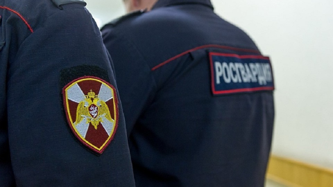 Два бунтаря устроили дебош в мурманских заведениях