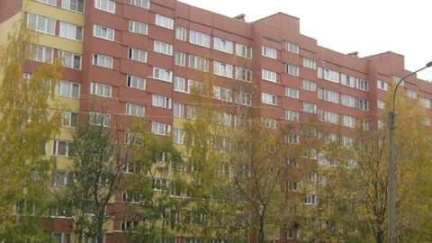 Школьник устроил стрельбу во дворе многоэтажки в Петербурге