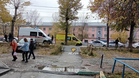 Новосибирская скорая насмерть сбила 7-летнюю девочку