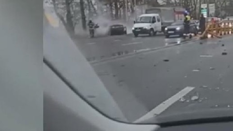 Бездомные собаки спровоцировали ДТП под Тюменью