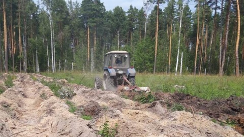 Свыше тысячи гектаров леса посадят в Тамбовской области