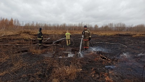 Торфяной пожар в Екатеринбурге ликвидирован