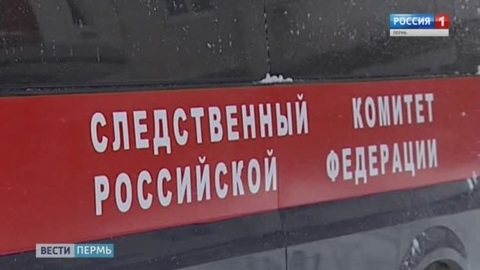 Организатора заказного убийства будут судить в Прикамье