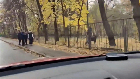 Стрельба из страйкбольного ружья: что делал подросток возле школы