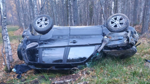Костромской автолюбитель разбил машину из-за лежащего на дороге кабана