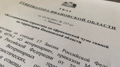 В Ивановской области ввели карантин по африканской чуме свиней и оспе овец