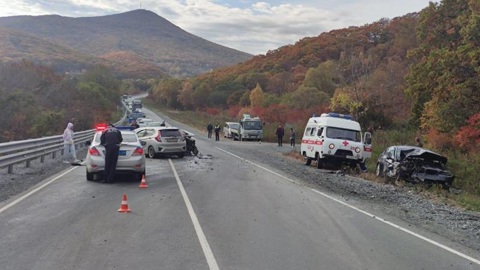 Полиция Находки разыскивает очевидцев смертельного ДТП