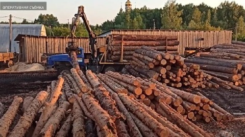 13 миллионов: тюменские таможенники пресекли незаконный вывоз леса в Узбекистан