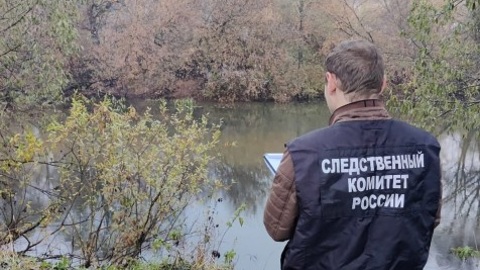 В Боровском районе пенсионерка утонула, упав в реку