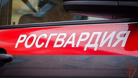 В ХМАО нетрезвый дебошир напал на росгвардейцев с топором