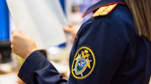 В Кольчугине несовершеннолетнего будут судить за сбыт наркотиков