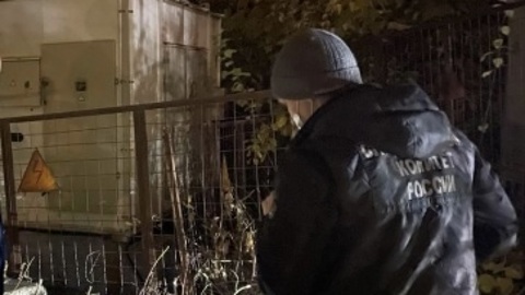 В Тольятти охранник зарезал своего коллегу во время дежурства