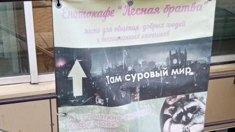 В Новосибирске дикие звери напали на посетителей енотокафе