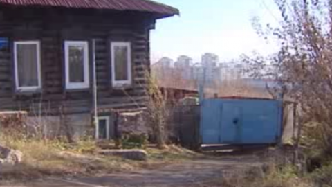 Житель Красноярска нашел человеческие кости в овраге во время прогулки с собакой