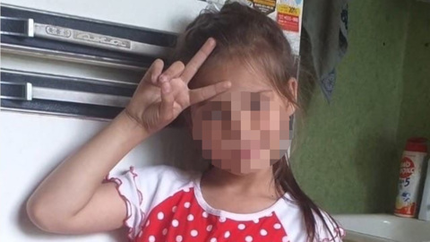 В Вологде нашли тело пропавшей 9-летней девочки