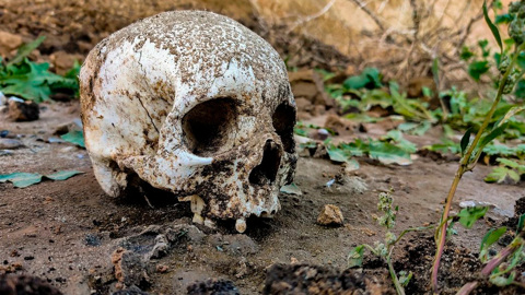Человеческий череп нашли на берегу реки в Саратовской области