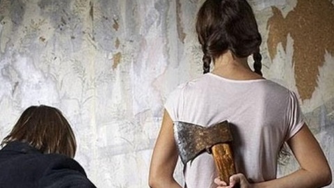 Костромичка напала с ножом и топором на собственную бабушку