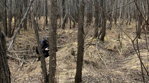 Рыбак ножом отбился от задравшего его приятеля медведя