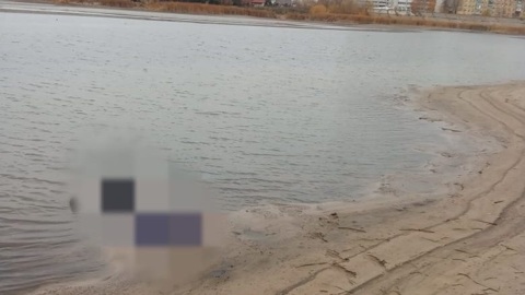 В Казани река вынесла на берег труп женщины