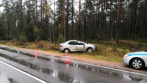 Дерево упало на легковушку под Петербургом и зажало двух человек
