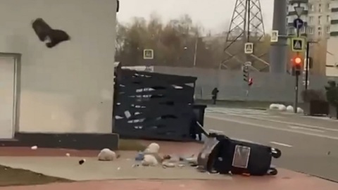 Пронесшийся по Москве ураган повалил 60 деревьев