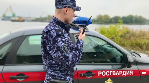 Жительница Калининграда в уличной драке откусила сопернице ухо