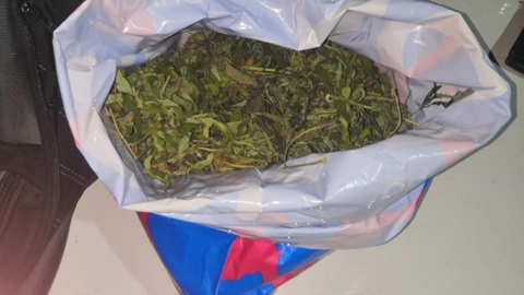 В Орловской области задержан "хранитель" марихуаны