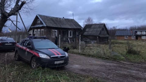 В собачьем приюте в Новгородской области убили, расчленили и сожгли человека