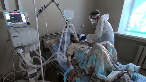 ВОЗ зафиксировала более полумиллиарда случаев заражения COVID-19