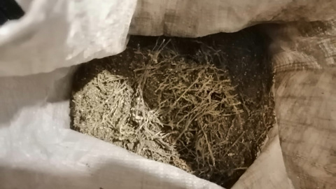 Красноярские полицейские нашли на кухне мешок с марихуаной