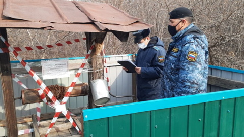 Колодец с кишечной палочкой нашли в Амурской области