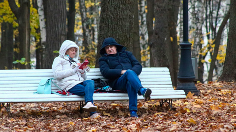В Москву и область идут первые заморозки
