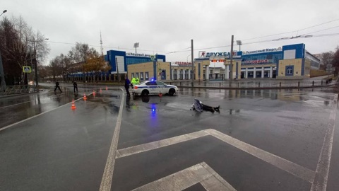 В Йошкар-Оле неизвестный на переходе насмерть сбил женщину