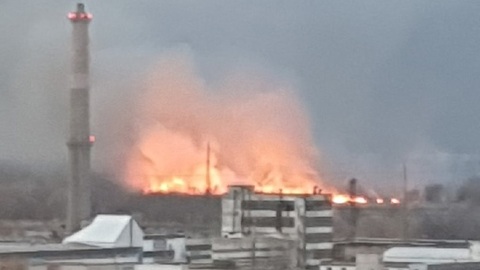 Кадры бушующего пожара в Самарской области были опубликованы в сети