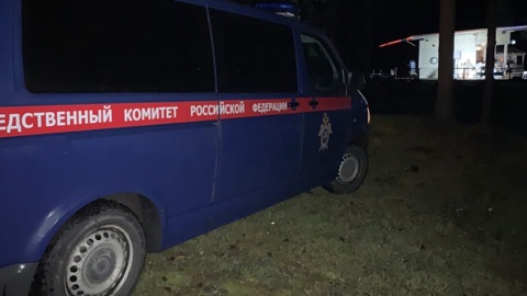 Мужчина отрубил голову соседке на даче под Петербургом