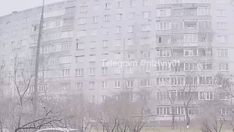 9 жизней: в Нижнем Новгороде кота выбросили с 8 этажа