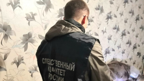 Мурманчанин жестоко избил внучку сожительницы