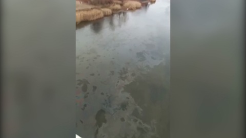 Маслянистое пятно: в Оренбурге установили причину загрязнения реки Урал