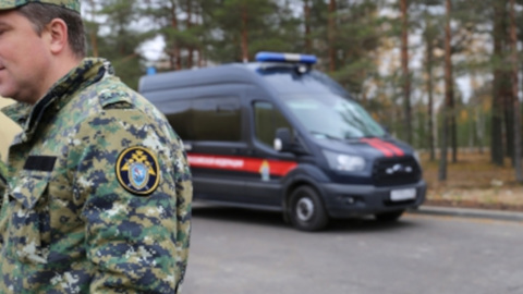 В Ленобласти муж зарезал и расстрелял обидевшую его жену