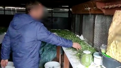 Килограмм героина и 119 килограммов конопли изъяли в Липецкой области