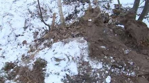 В Казани перерыли рощу в поисках 100 долларов от "Орла и решки"